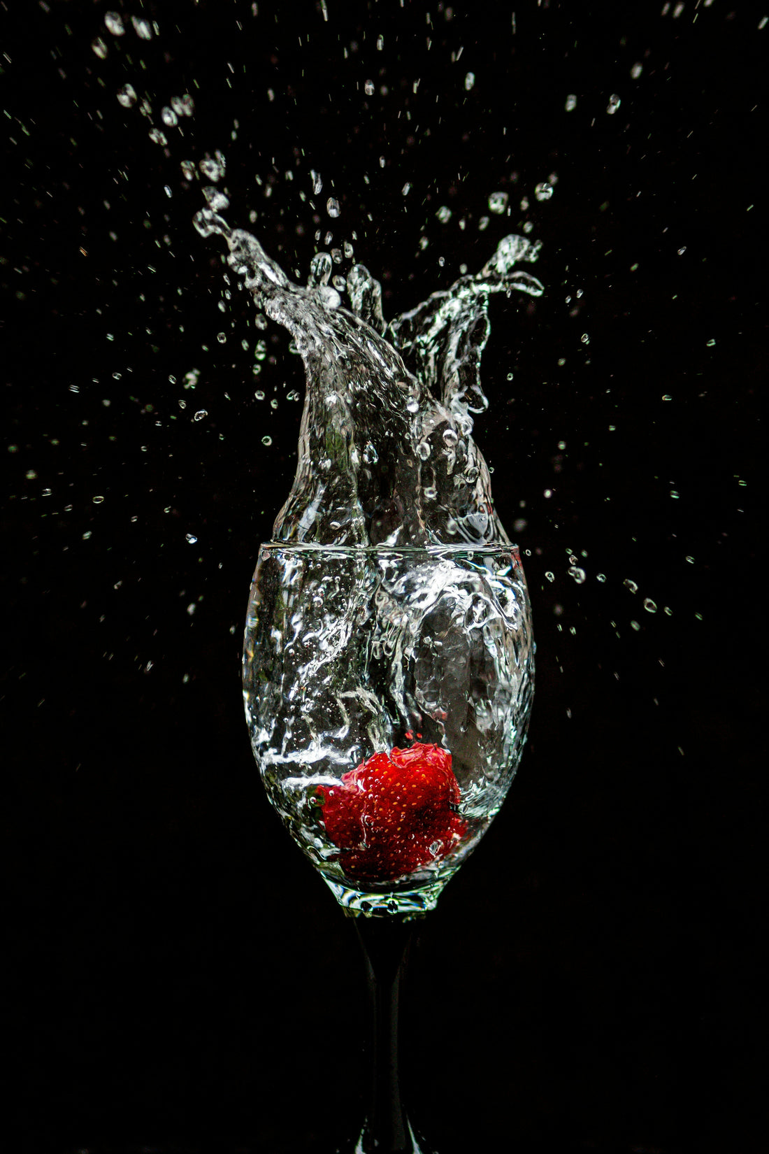 Expanding Everly After: My Journey to Health Coaching and Holistic Healing